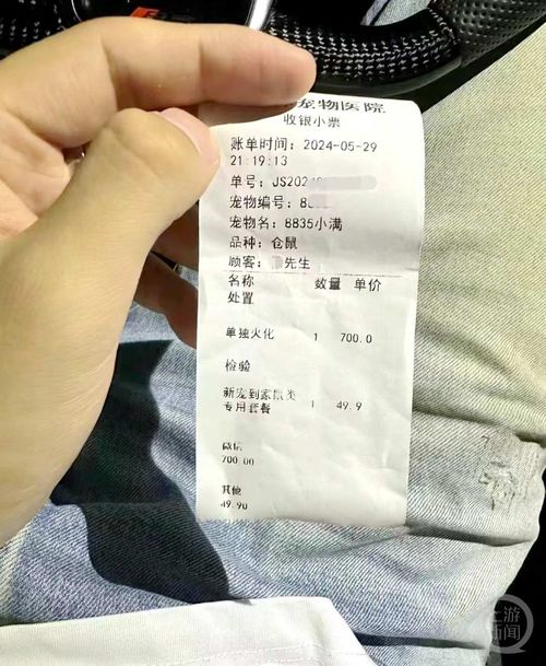 揭秘宠物殡葬：火化一只仓鼠需花费700元，使用保时捷接送