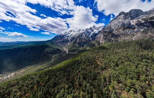 中国科学家守护‘天堂’生物多样性：雪山与森林的世界秘密——中国版的保护工作