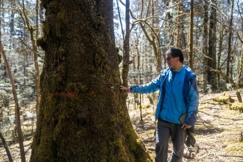 中国科学家守护‘天堂’生物多样性：雪山与森林的世界秘密——中国版的保护工作