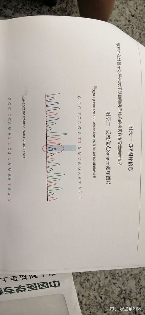 全球最新科研揭示：一个罕见基因突变与智力障碍相关