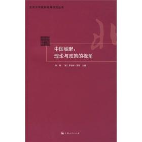 《世界视角：巴勒斯坦之困与中国崛起》 - 观察强弱之别，把握未来趋势