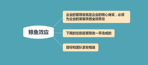 深圳外贸行业中的成功领导者：打造专业的网络信息平台