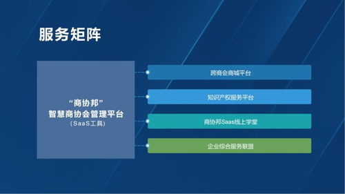 深圳外贸行业中的成功领导者：打造专业的网络信息平台