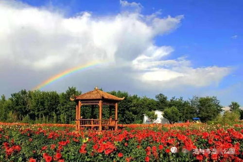 六一儿童免费乘地铁？让更多的福利照进孩子们的生活!