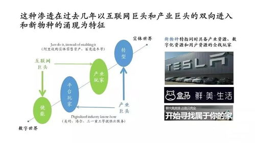 物美创始人：实体店并不会消失，而是数字化转型的关键

实体店与在线购物：物美创始人对于实体店未来的看法