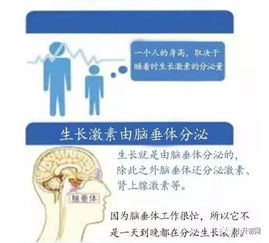 中国知名儿科医生解析：增高针并非万能良药，需谨慎对待生长激素治疗