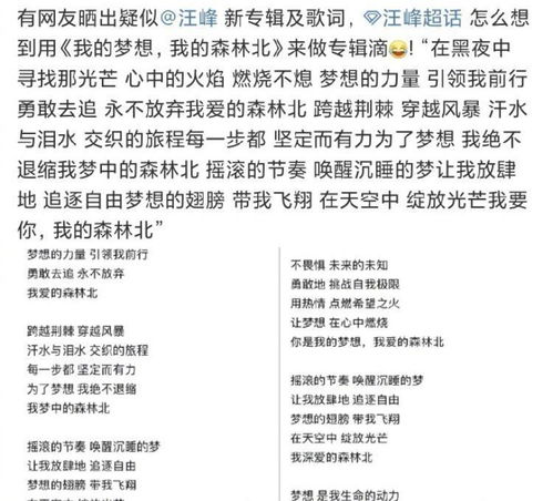 汪峰否认出新歌《我的梦想我的森林北》，称不知是谁在无聊搞事？