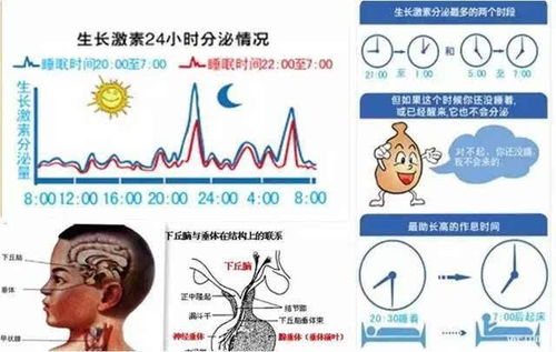 健康问题：是否应该给小孩补充生长激素？