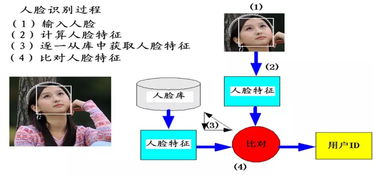 产品经理如何利用AI：与普通人的区别是什么?