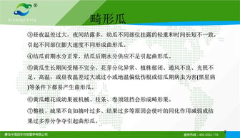 全方位了解慢性肾脏病的发病原因及防治策略，患者需要多条战线并进