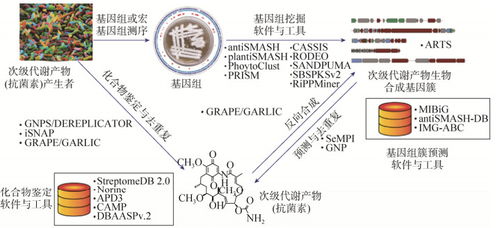 在结核菌变得耐药时：应对策略与知识储备