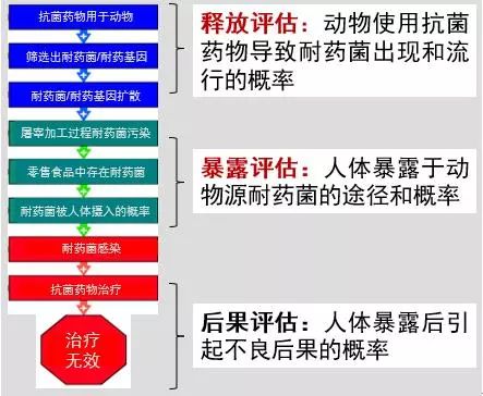 在结核菌变得耐药时：应对策略与知识储备