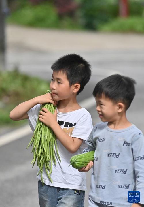 独特魅力：可爱的乡村——觉山村孩子们的笑脸