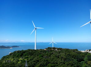 深海美味：海天味业引热议，5000亿资金壮丽蒸发