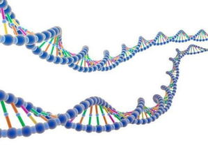 揭示生命的基因密码：人类基因组的‘暗物质’研究，解锁生命的起源和延续的秘密