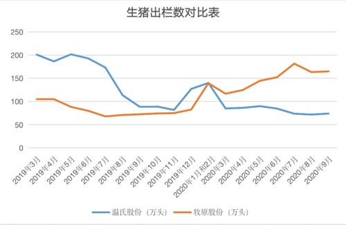 转变时期：牧原与温氏等公司深度抢占猪周期红利