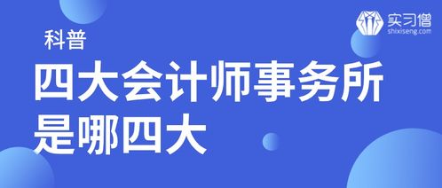 普华永道财务造假案：揭秘中国四大知名会计师事务所的审计深渊