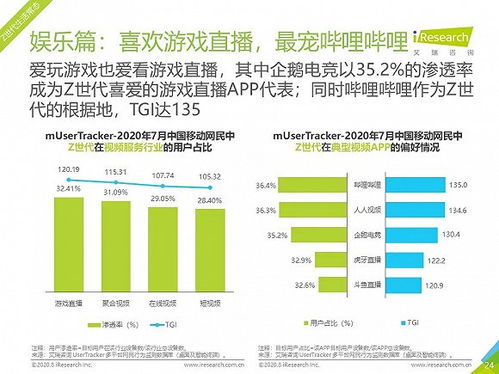 Z世代的多元文化视角：并非一个独立群体，而是现代网络世界的一部分