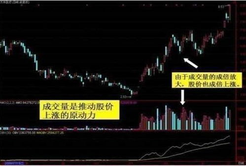 专注专业,只需两天一击掌握65%把握率的三人组合——奎与龙