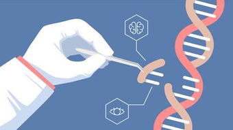 利用新基因编辑技术，科学家探索大豆作物增产潜力