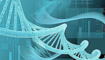 利用新基因技术，科学家探索大豆作物增产潜力