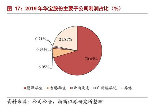 华宝新能源在露营经济中的表现与推动作用——以露营经济带为例的深度剖析