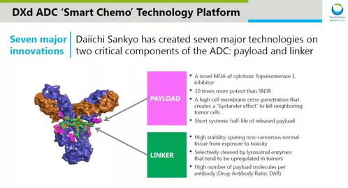 ADC药物市场蒙尘：效果未达预期，瞄准肺癌与乳腺癌的未来疗法