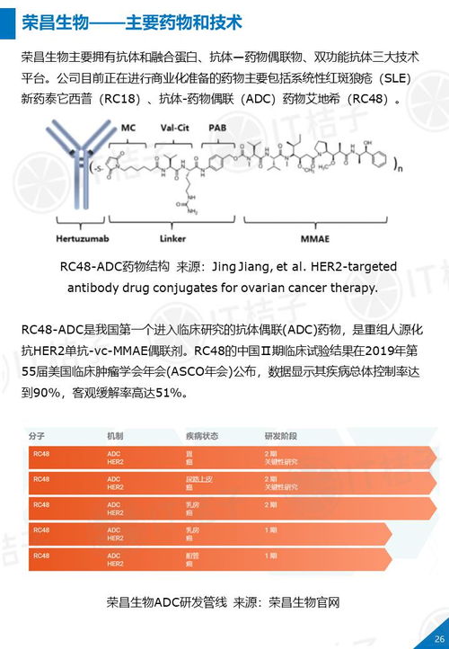 ADC药物市场蒙尘：效果未达预期，瞄准肺癌与乳腺癌的未来疗法