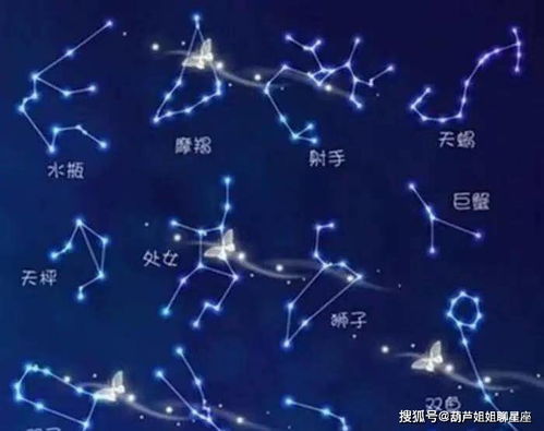 2024年10月8日十二星座运势详解，让你看清自己的未来走向