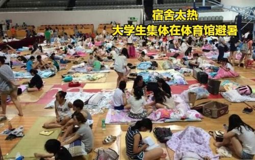 14种沙障：各自显神通的沙漠治理法