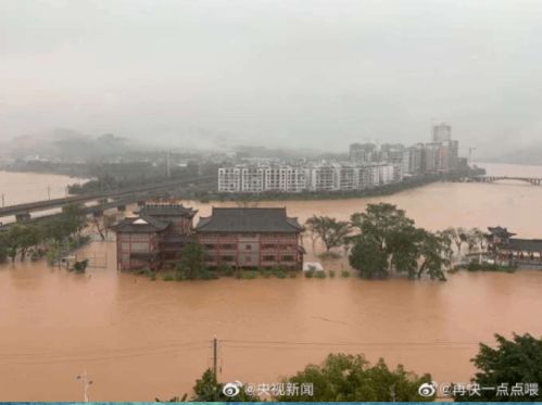 宣平县水灾记：探寻最初的水利学研究