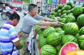 今年暑期热销，究竟为何麒麟西瓜价格居高不下?