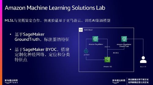 亚马逊云科技：深度挖掘企业市场，有望引发行业的应用爆发趋势