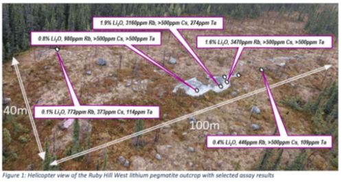 西藏错那地区发现新型蜘蛛种类,刷新中国网虫研究新高度