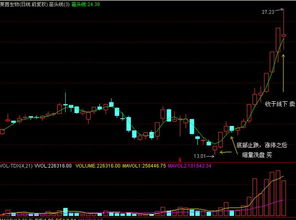 为什么老出错？ 纽交所与股市调整 T+1制度的隐秘关系