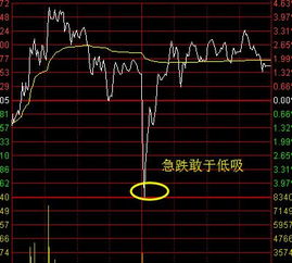 为什么老出错？ 纽交所与股市调整 T+1制度的隐秘关系