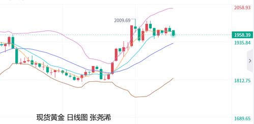 纸浆市场预测：短期或将面临回调压力