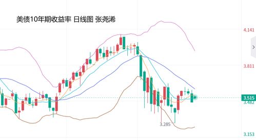 纸浆市场预测：短期或将面临回调压力