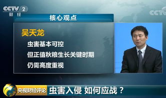 国安部严令：外谍疯狂侵入网络窃取国家秘密，稀土产业安全面临严重威胁