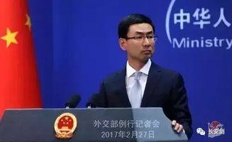 中国坚决维护自身利益，回应俄罗斯天然气谈判中出现的问题。