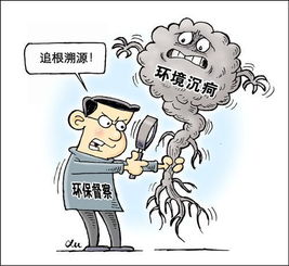 中央生态环保督察已问责171人，湖北省占比80%：