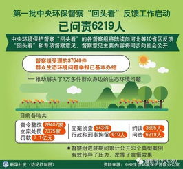 中央生态环保督察已问责171人，湖北省占比80%：