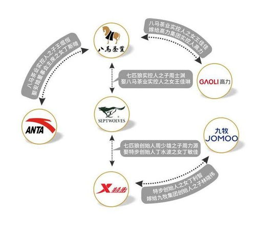 特步公主与七匹狼王子：一场家族企业的联姻背后，商业逻辑的揭示