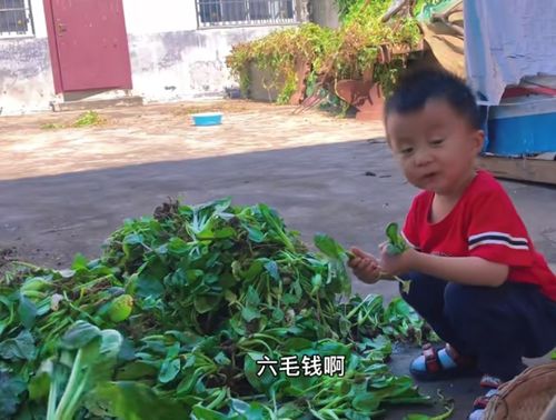 田静熊磊晒孩子幸福照：让孩子感受亲情的温暖与责任担当的两难平衡