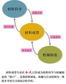 中国构建：马维的转型之路