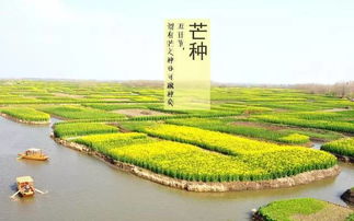 芒种季节饮食指南：关注湿热，合理膳食是关键！