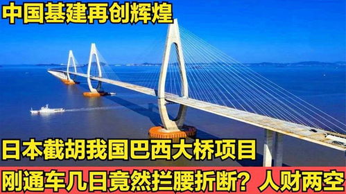 日本截胡中国巴西大桥项目！新建桥刚建设完成就遭撞击，巴西送来巨额工程