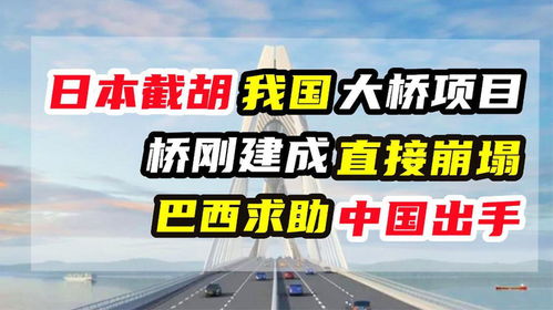 日本截胡中国巴西大桥项目！新建桥刚建设完成就遭撞击，巴西送来巨额工程