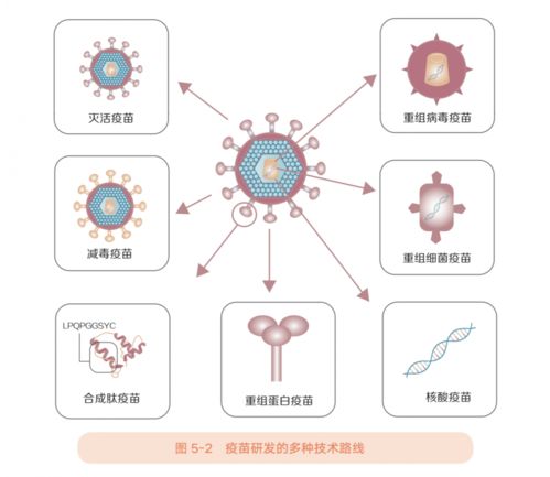 最新探索：揭示隐藏在人类神经元中的新型RNA病毒