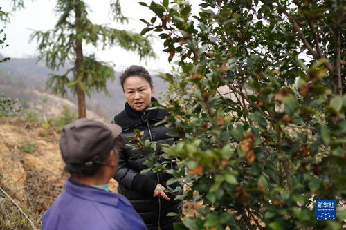 探寻青海湖生态奥秘，习近平总书记的深深关怀——